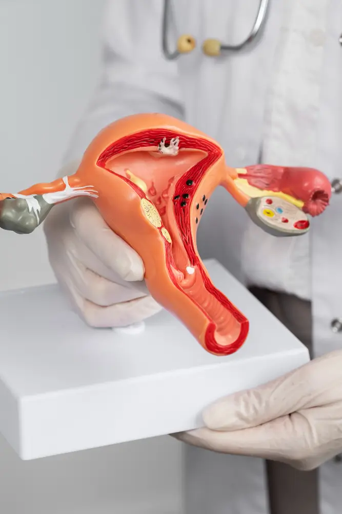 أفضل عيادة نساء وتوليد في خميس مشيط